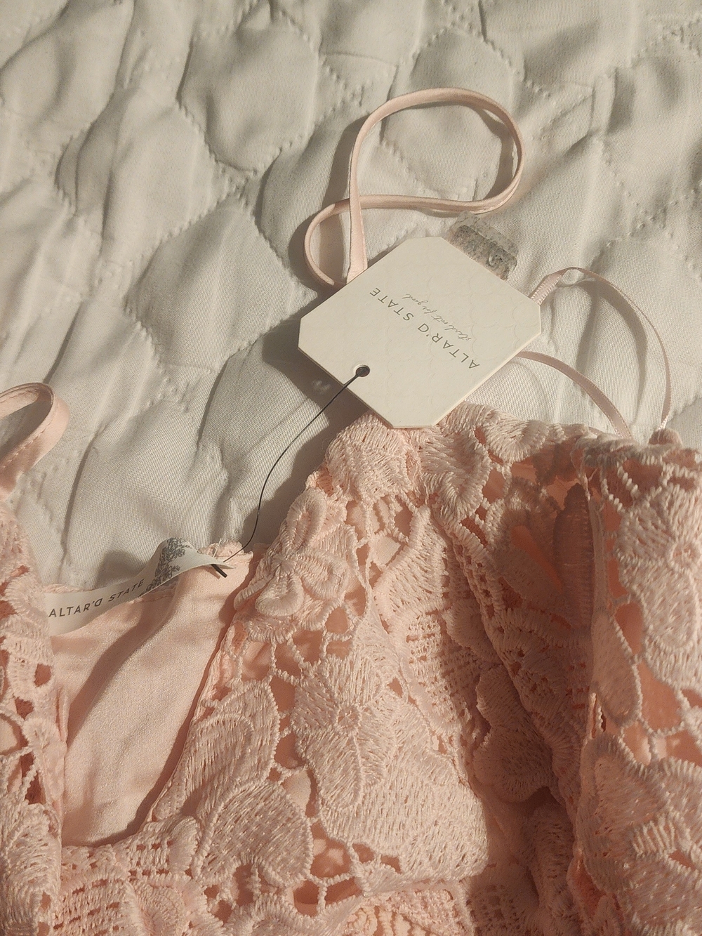 Altar'd State Blush Pink Lace Appliqué Mini Dress - Picture 5 of 7